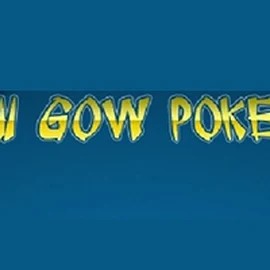 Enjoy Pai Gow Poker by Rival – logo hosted on dragoniaacasino.com